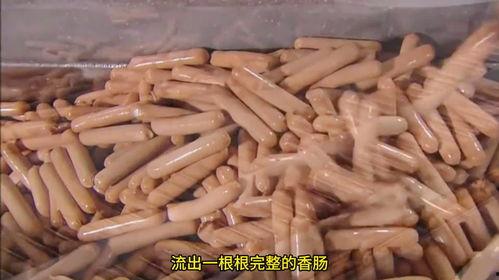 香肠工厂爆料视频,揭秘现代食品加工黑幕